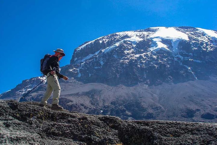 Mount Klimanjaro National park. 8 days Shira route climb