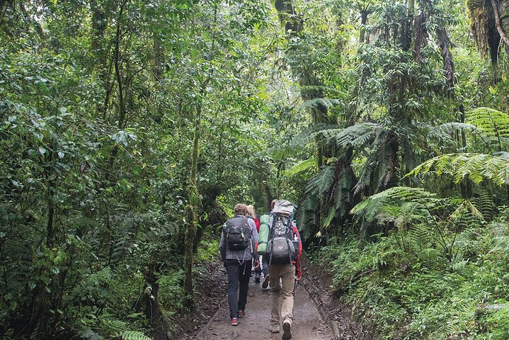 1 day mount kilimanjaro trek/hike