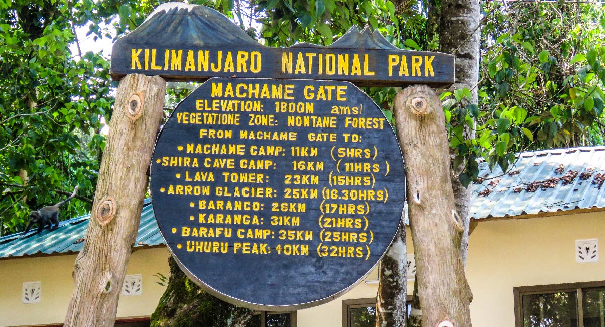 1 Day Machame Route on Mount Kilimanjaro