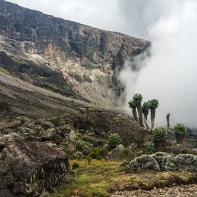 What is unique about Kilimanjaro National Park?