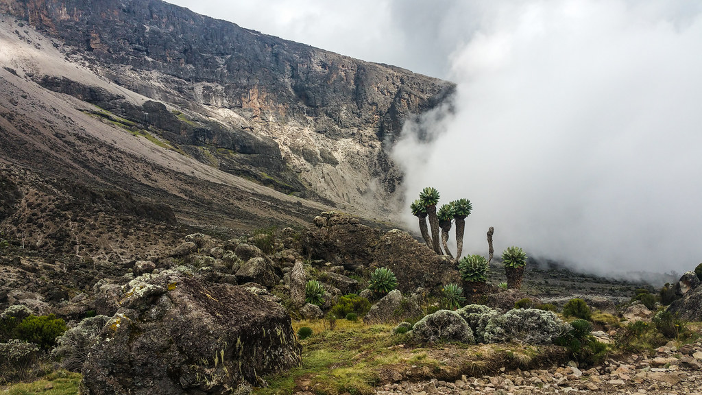 What is unique about Kilimanjaro National Park?
