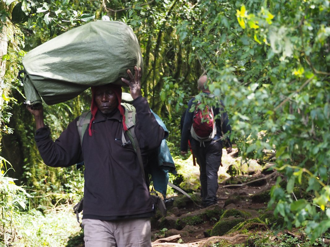 5 Days Marangu Route Kilimanjaro Hike