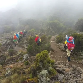 3 Days Marangu Route Kilimanjaro hiking