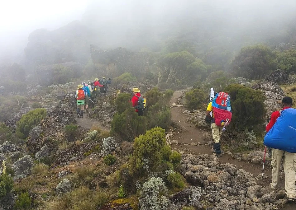 3 Days Marangu Route Kilimanjaro hiking