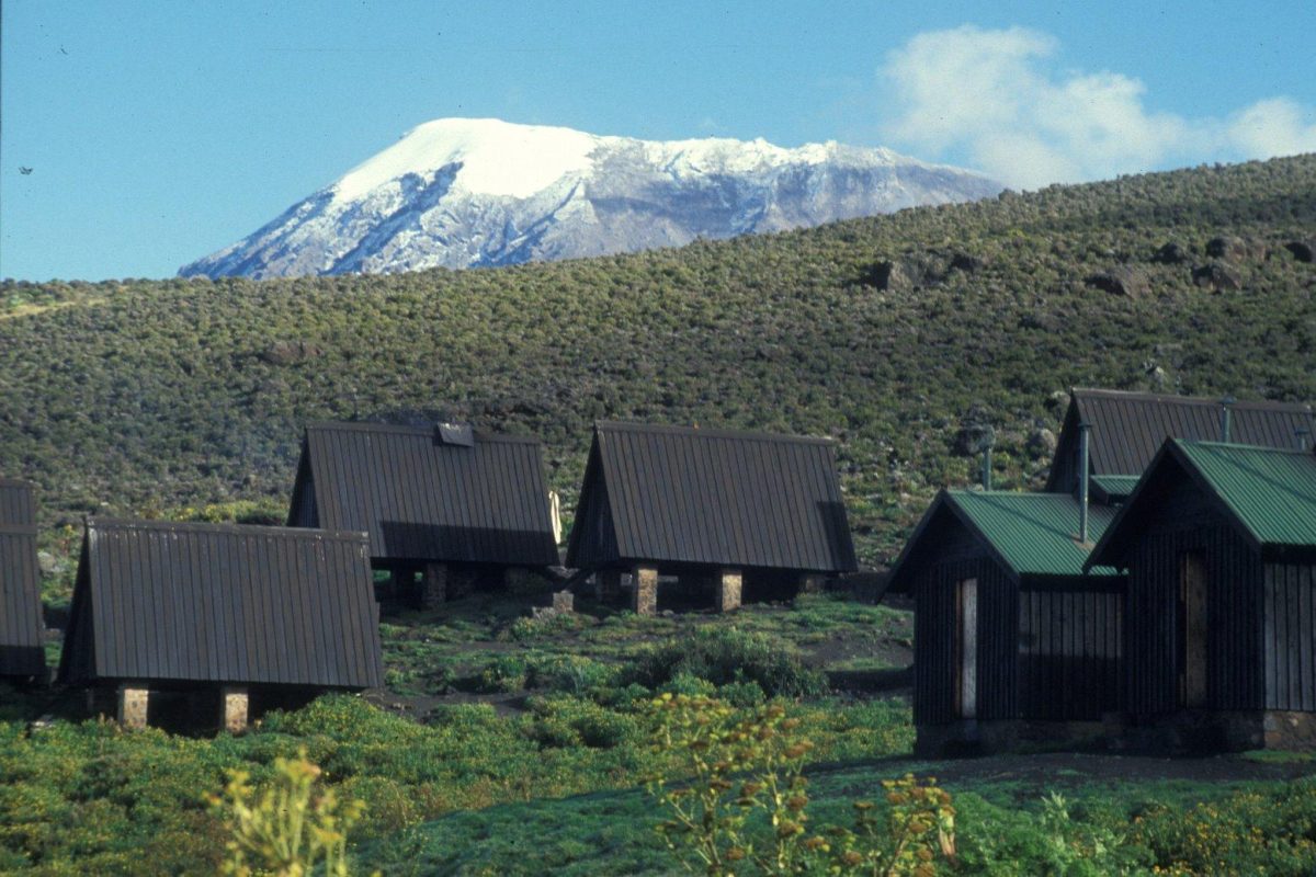 Mandara Huts Camp
