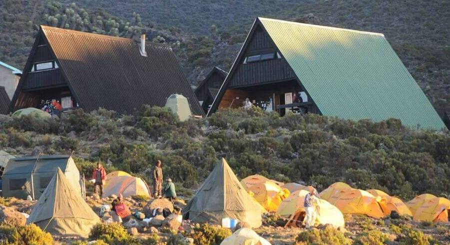 Mandara Huts Camp