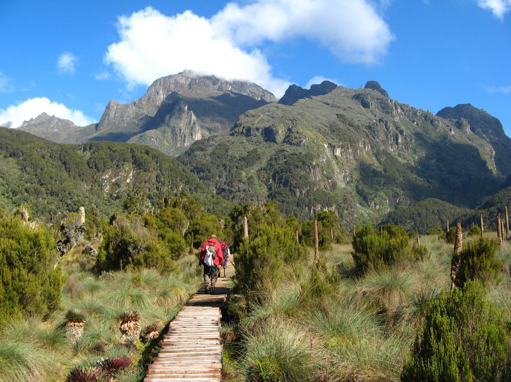 Mount Kilimanjaro vs Rwenzori Mountains vs Mount Kenya